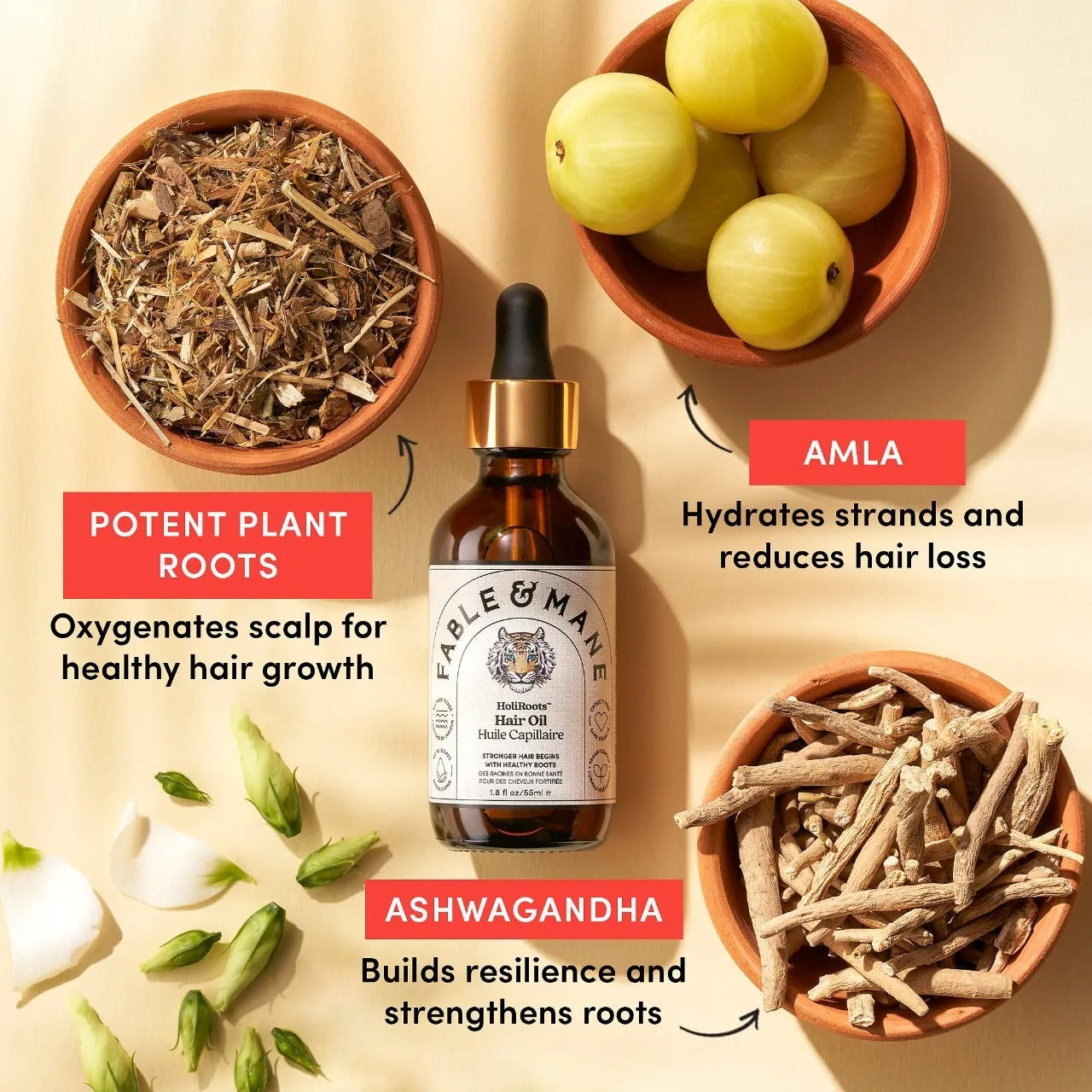 Fable & Mane HoliRoots Hair Oil – Strengthening Serum with Ashwagandha & Castor Oil